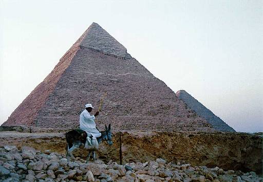 Cairo   Pyramids and Donkey